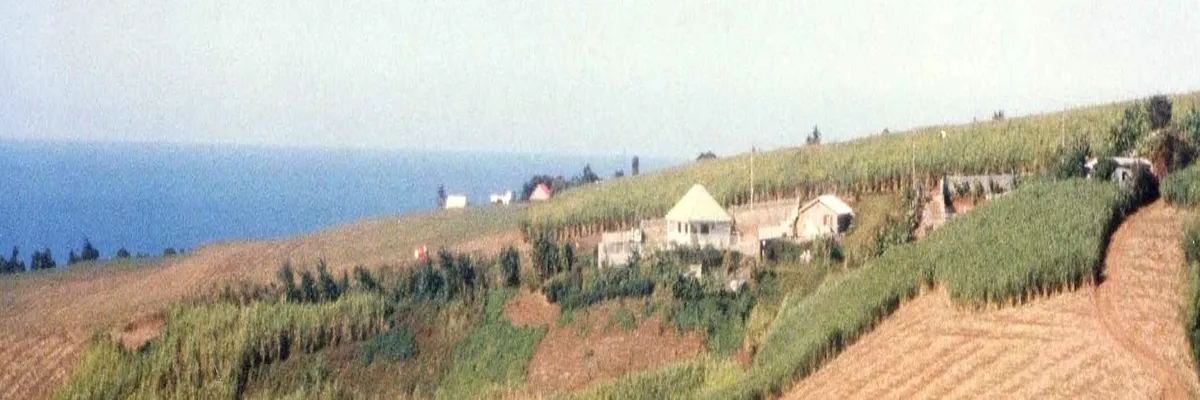 image-installateur-carport-solaire-sainte-marie.webp Image Installateur carport solaire Sainte-Marie